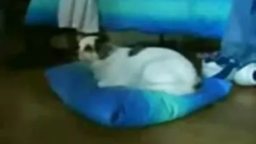 আলে কচি মাল চুদা এফএ