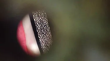মেয়ে সমকামী, চুদা চুদি ভিডিও সুন্দরী বালিকা