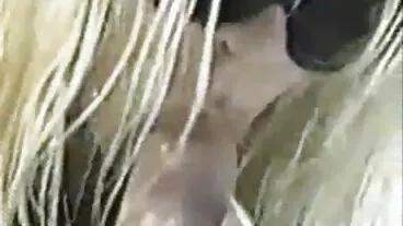 চতুর এশিয়ান বাংলা চোদি চুদি দু: খ কাণ্ডকীর্তি স্টেপড্যাড এর মোরগ যখন মা অপেক্ষার পরে পুনরায়